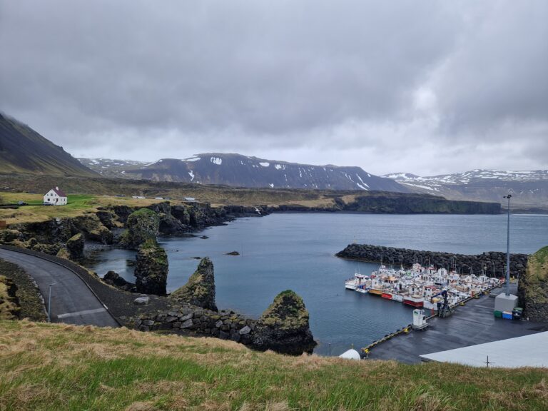 Iceland 2.0: Pufflings and the Western Reaches. Trip Dates: August 25 - September 4, 2026